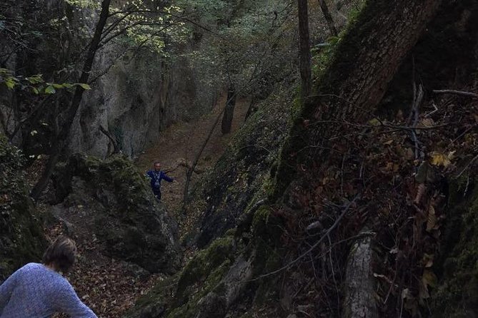 1 day hiking in Birtvisi Canyon from Tbilisi - Deda-tsikhe and Sheupovari, the historic high point