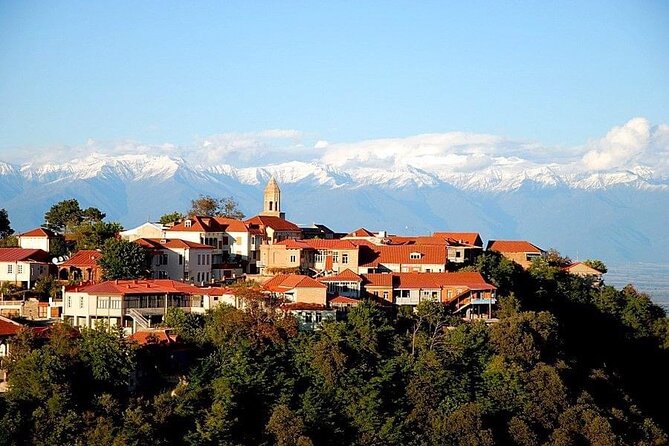 2 Full Day Private Tours from Tbilisi - The guide and vehicle make the difference