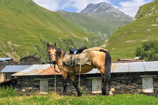 3 Day Tusheti Tour Explore Unspoiled Wilderness - What the $335 price really includes