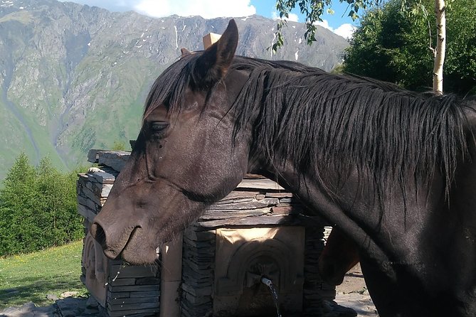 3 Days in Georgia: Private Tour with Wine, Mountains & Culture - What $244 buys, and what it does not