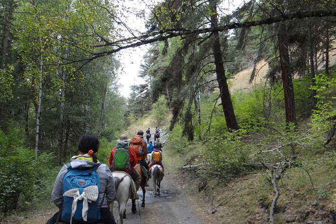 7-day hiking expedition to Tusheti through the Atsunta pass - Day 4: A long valley walk to Girevi