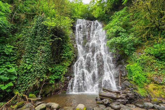 Adjarian Mountains Waterfalls Wine Tour Best views from Batumi Kobuleti - Key points to know before booking
