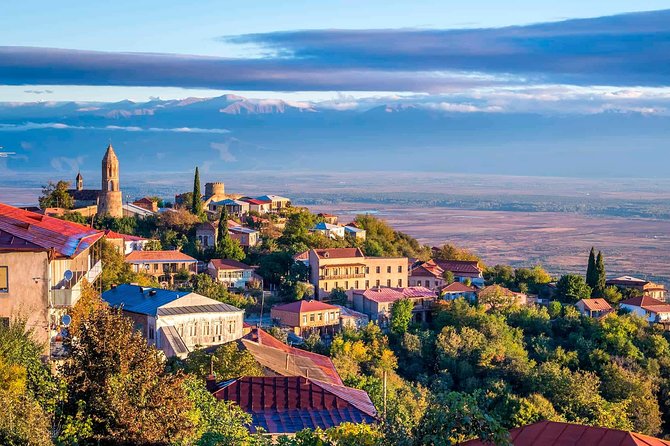 Adventure in Kakheti - Bodbe, Sighnaghi, wine tasting (Private Experience) - Who should book this Kakheti outing?