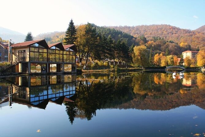 Armenia Day Trip from Tbilisi: Private Experience - Two hours in Dilijan National Park