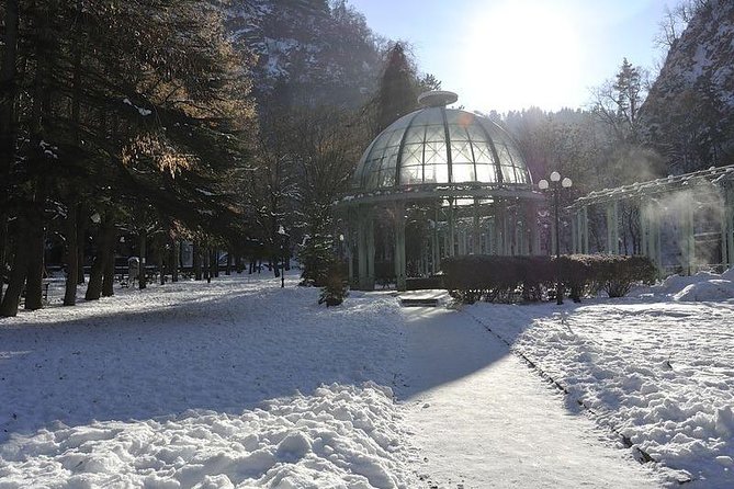 Bakuriani ski resort and the legendary Borjomi (Group Tour) - Practical planning for the 9:00 a.m. departure