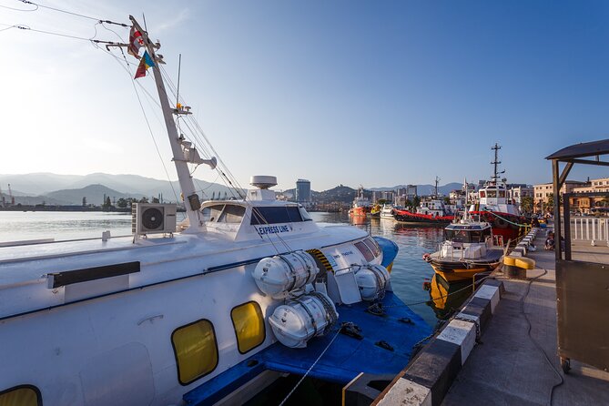 Batumi Walking Tour - Key points to know before you book