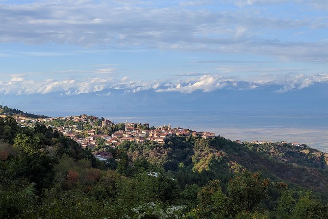 Best of Georgia - 3 or 4 days private tour with transfers and guide - What the private format changes
