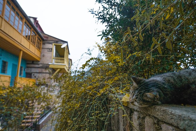 Classic Tbilisi Walking Tour - Freedom Square and Sololaki at 10:00 am