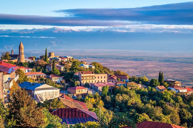 David Gareja, Kakheti and Signagi city of love One Day Tour - Who will enjoy this tour most