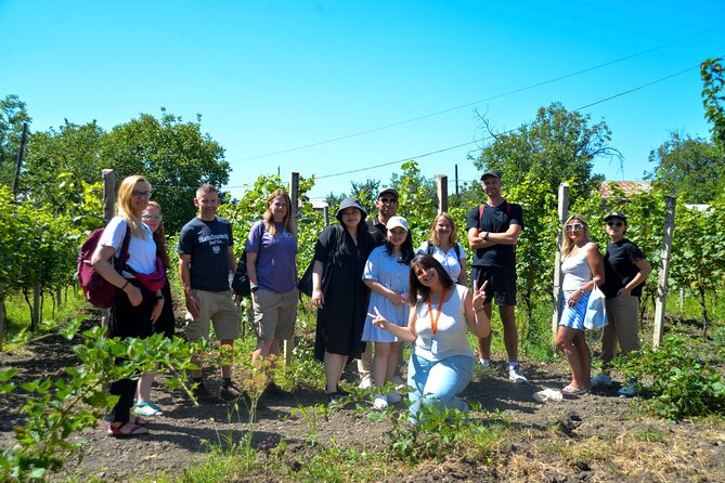 Day Trip to Kakheti Wine Region Including 9 Wine Tastings - KTW Winery and five more tastings