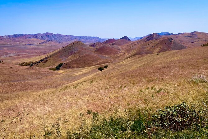 Day Trip to Rainbow Mountains and David Gareja - Guides, music, and the human side of the tour