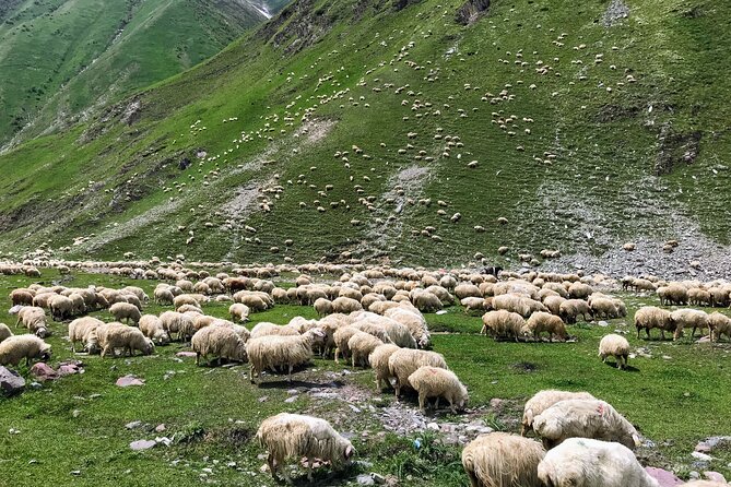 From Tbilisi: Kazbegi Ananuri Gudauri and Trusso Valley by 4x4 - Gudauri and the Friendship Monument