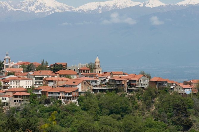Full Day Private Wine Tour in Kakheti Region with Lunch and 3 Wine Tastings - Key points to know before booking