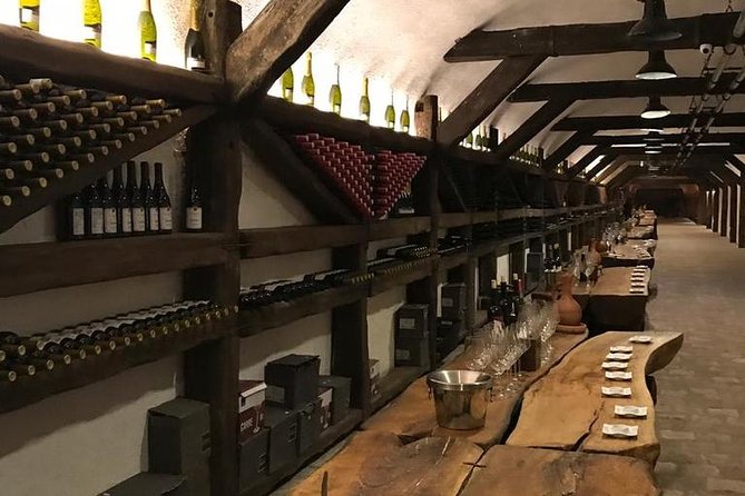Full Day Private Wine Tour in Kakheti Region with Lunch and 3 Wine Tastings - What makes the wine education useful