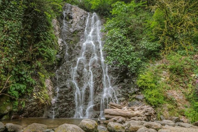Full Day Tour from Batumi to Waterfalls - Mirveti Waterfall: the most enjoyable short walk