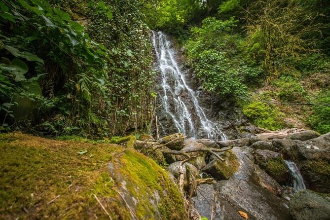 Full Day Tour from Batumi to Waterfalls - What the private vehicle adds