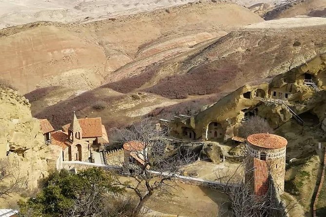 Full day tour to Kakheti: David Gareja and Signagi Town - Who should book this experience?