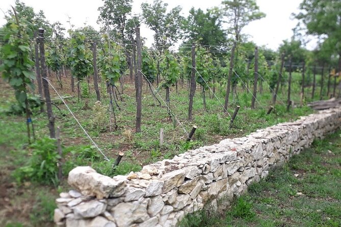 Gelati, Prometheus, Sanatoriums and Wine tour - What $42.14 really buys you