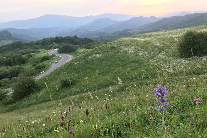 German village in Georgia (Elisabethal) & Wine tasting - Is five hours enough?