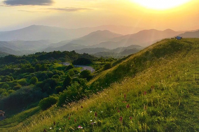 German village in Georgia (Elisabethal) & Wine tasting - How this compares with a classic Kakheti day out