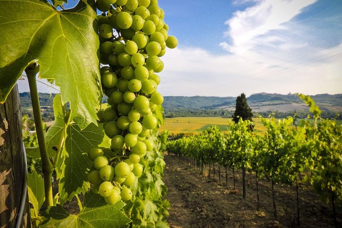 Grand tour to Kakheti for wine lovers: Telavi-Kvareli-Sighnaghi - Alaverdi Cathedral shows Kakheti’s religious scale