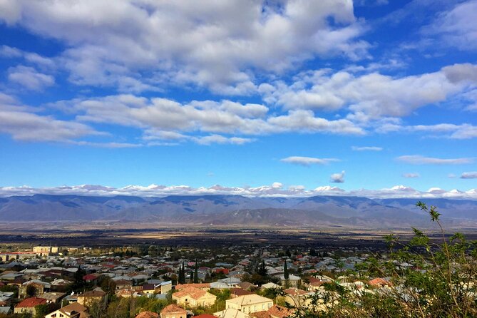 Grand tour to Kakheti for wine lovers: Telavi-Kvareli-Sighnaghi - Telavi combines a regional capital with a royal fortress