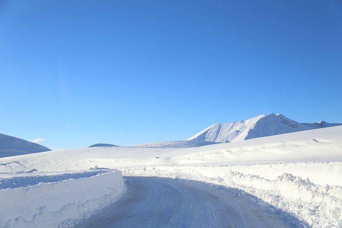 Gudauri Ski Resort day tour from Tbilisi - Practical details that affect the day