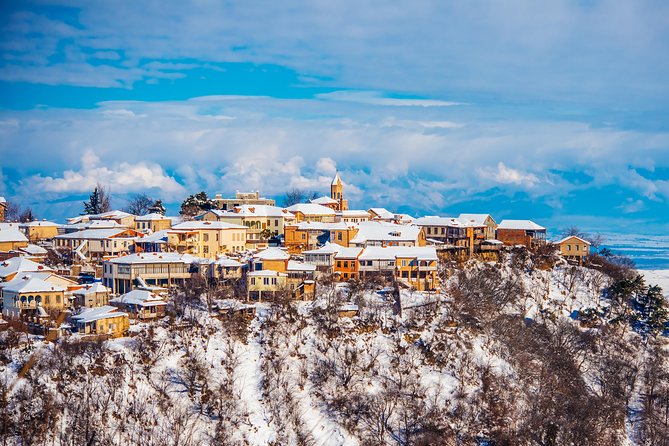 Highlights of Kakheti region-Signagi,Bodbe,Wine tasting(Private Tour) - What the Guide Adds