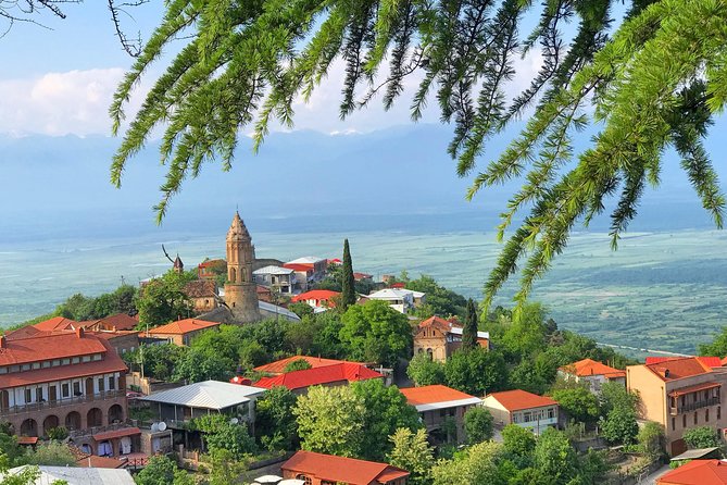 Kakheti and Sighnaghi tour with winetasting - Key points to know before booking