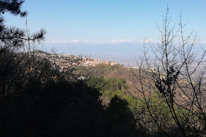 Kakheti Full Day Private Tour - Khareba’s tunnel winery