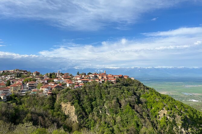 Kakheti-Sighnaghi Day Trip with wine tasting and Bodbe Monastery - Key points to know before booking