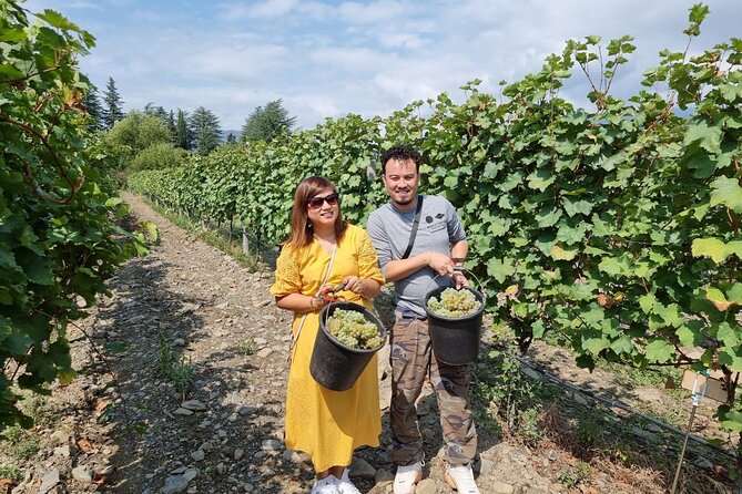 Kakheti - Small wineries and family-cooked lunch • Private tour - A Kakhetian lunch in Kardenakhi