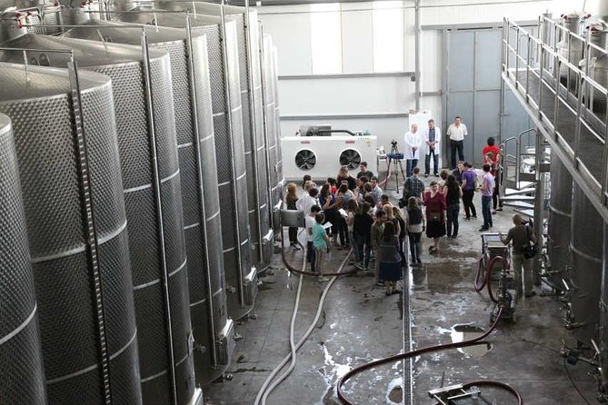 Kakheti Wine & Sighnaghi Private Tour from Tbilisi - Why this Kakheti day trip works well