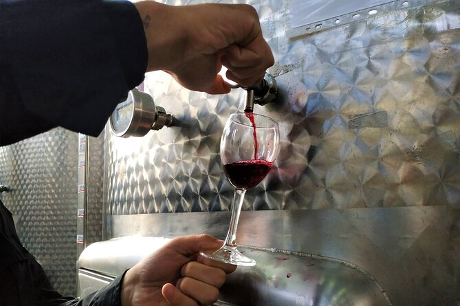 Kakheti Wine Tour with 20+ Wine Tastings & Qvevri Masterclass - Stop four: tasting from tanks and oak barrels at KTW