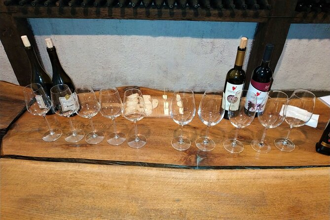 Kakheti Wine Tour with 20+ Wine Tastings & Qvevri Masterclass - More than 20 wines, plus brandy and chacha