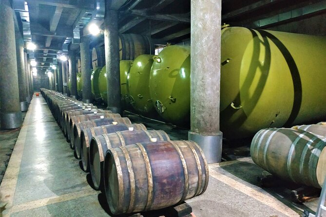 Kakheti Wine Tour with 20+ Wine Tastings & Qvevri Masterclass - What Giorgi adds to a private day