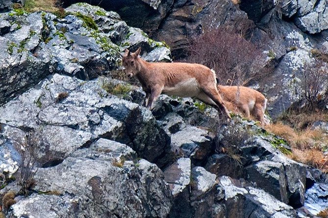 Kazbegi, Ananuri , Gudauri and Zhinvali (Group Tour) - Why this northbound day trip is worth your time