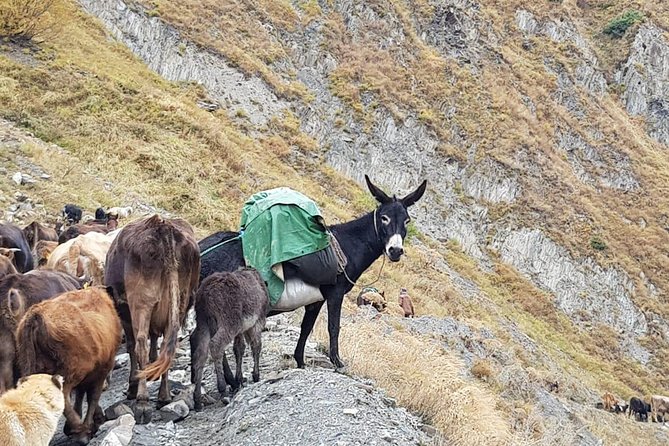 Kazbegi MOUNTAIN Tour (GLORY OF THE NATURE) + MANY NEW LOCATIONS - Gergeti Trinity Church and the Kazbegi Valley