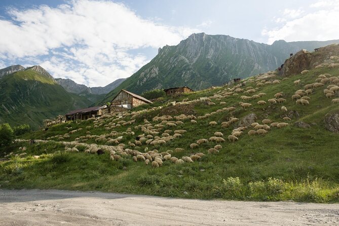 Kazbegi - One Day Private Trekking Tour to Truso Valley - Kasari Canyon, Ketrisi, and the old valley route