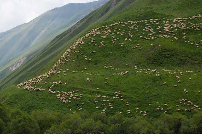 Kazbegi - One Day Private Trekking Tour to Truso Valley - What the private format is worth at $320.82