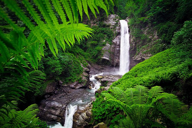 Lagodekhi - A day hiking from Tbilisi - What the $95 price includes