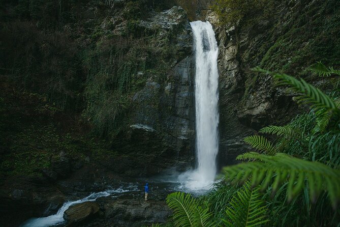 Lagodekhi - A day hiking from Tbilisi - The private guide makes the day more flexible