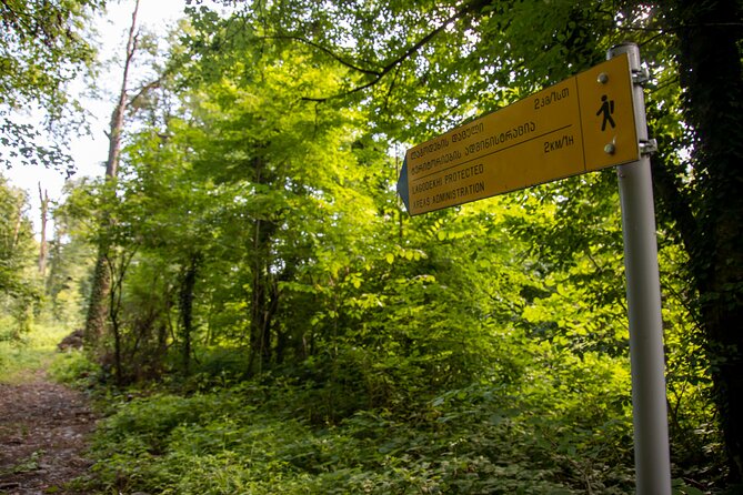 Lagodekhi - A day hiking from Tbilisi - Along the Ninoskhevi River