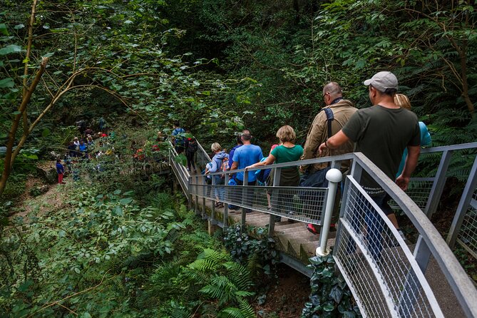 Martvili canyon & Prometheus Cave group tour from Tbilisi - What the 14-hour schedule feels like