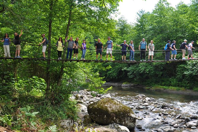 Mtirala National Park Tour - From Batumi streets to Mtirala’s wet forest