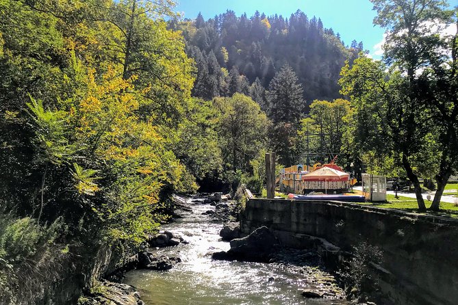 Mtskheta Uplistsikhe Borjomi in one day tour - Who should book this day tour?