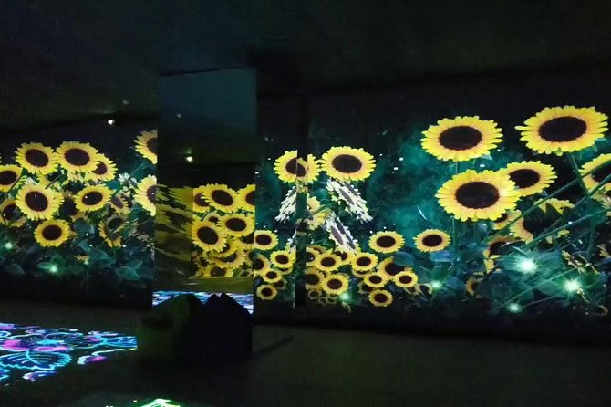 Museum of illusions,Digital Space and Ethnography in Tbilisi - At Tbilisi Digital Space, art becomes moving light