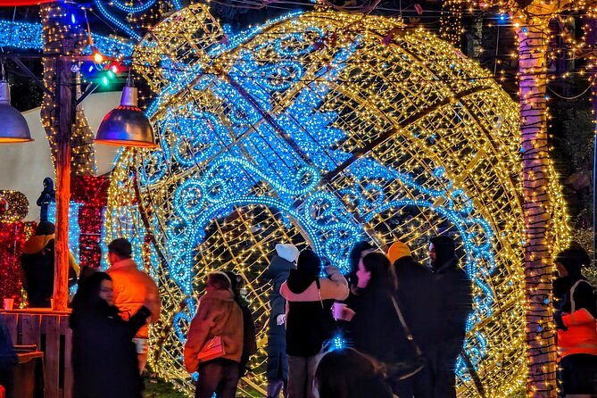 New Year in Tbilisi: Christmas Market and Hidden Gems Tour - The guide can make a real difference