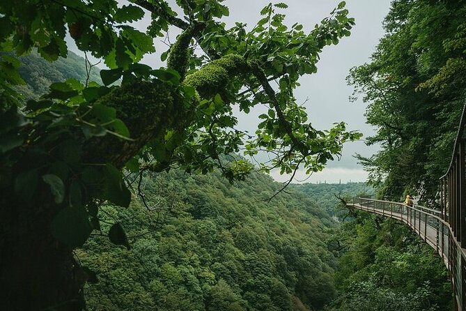 Private Canyon &Cave Tour from Batumi(Martvili,Okatse,Prometheus) - Timing, pace, and the order of stops