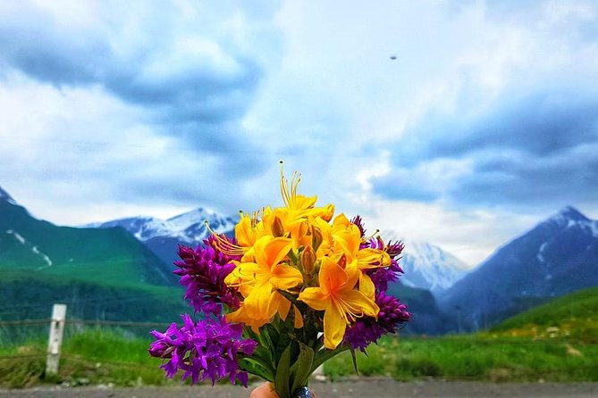 Private Full Day Tour In Kazbegi - Gudauri (Paragliding & Rafting) - What the private format adds
